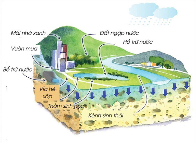 Mô Hình "Thành Phố Bọt Biển" (Sponge City)